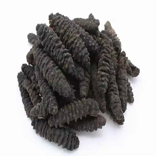 Dried Sea Cucumber Black