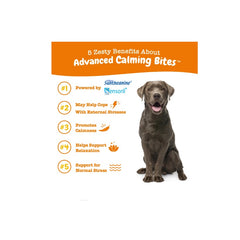 Zesty Paws Advanced Calming Bites Turkey Flavor 90ct