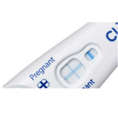 Clear Blue Pregnancy Test Rapid Detection